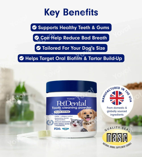 【Official Store】Yovot® Pet Dental Powder – Freshen Breath, Regenerate Teeth & Remove Tartar🐶😻 (BVA Recommended for Cats & Dogs) – Last Day! 70% OFF!
