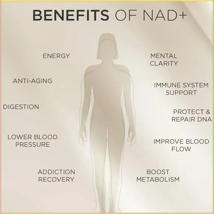 【Tnnedey® Offizieller Shop】 NAD+⚡ Bee Venom Patch – Ultimate Skin Rejuvenation & Energy Boost(Last Day Discount:70%)
