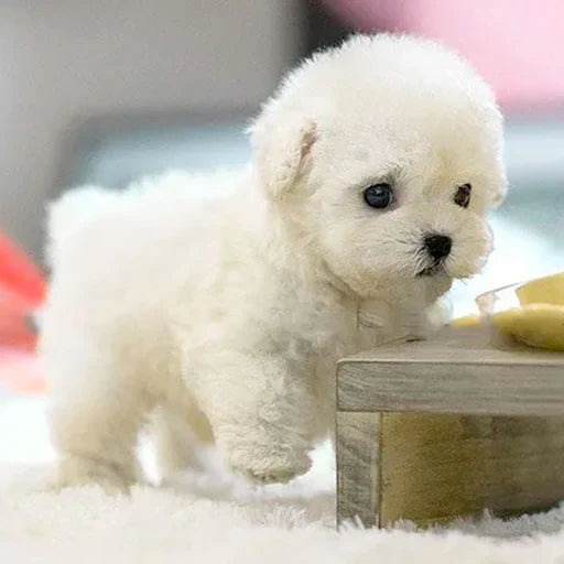 【Official Store】 🐾 NICO - Yovot™ The Ultimate Realistic Robot Puppy (Last Day to Save Big!)