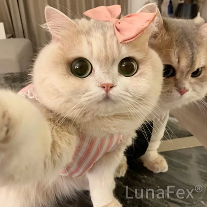 【OFFICIAL STORE】LunaFex® LUNA the Robot Cat 😺& TOBY the Robot Dog🐶 – Perfect Pet Duo for Kids & Family – Last Day for Sale!