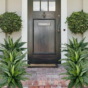 Last Day Discount：75% OFF UV Resistant Lifelike Artificial Boston Fern 🪴